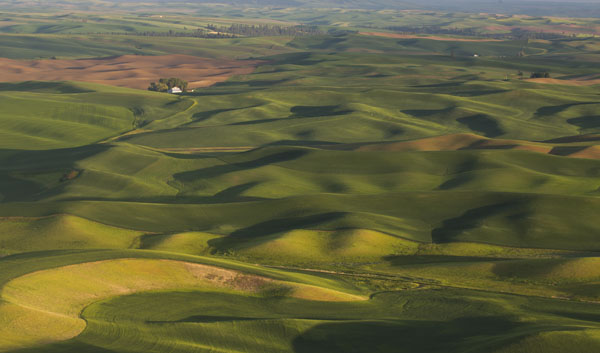 Palouse Rolling Terrain