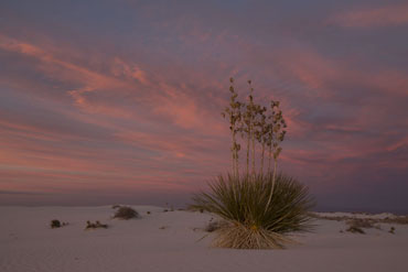 White Sands Sunrise