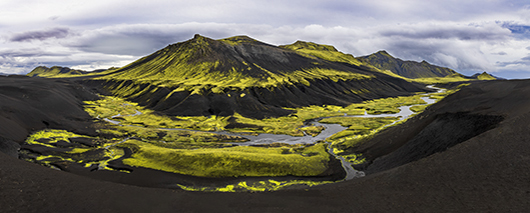 green moss covering a valley