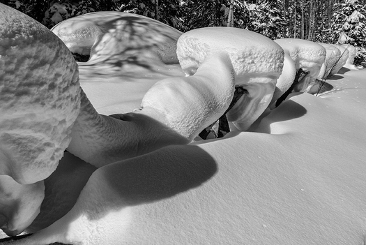 fence covered with snow