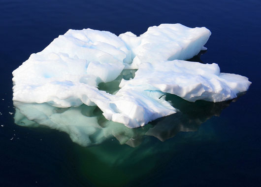Floating Ice