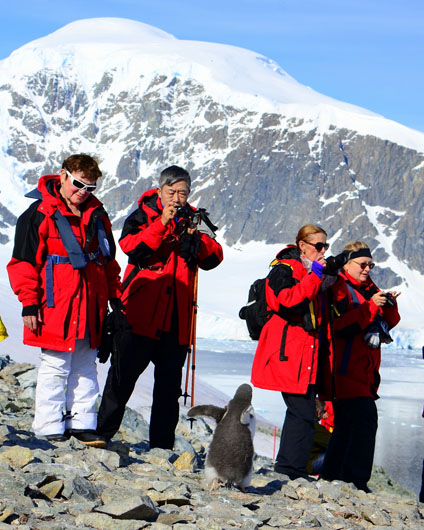 Photographers in Red and Penguin