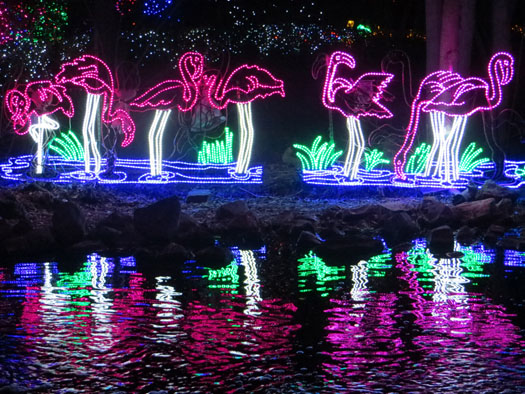 Zoo Lights