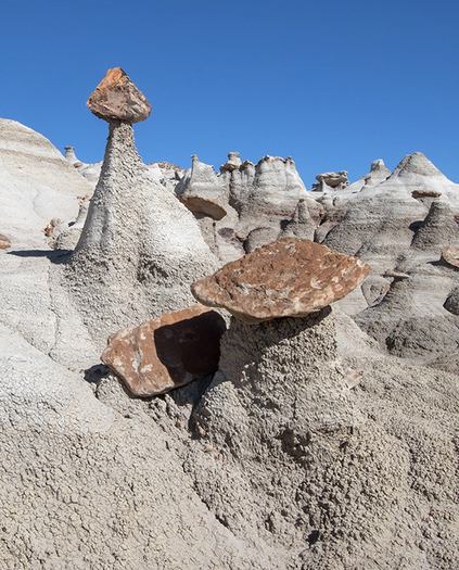 Mushroom Rocks
