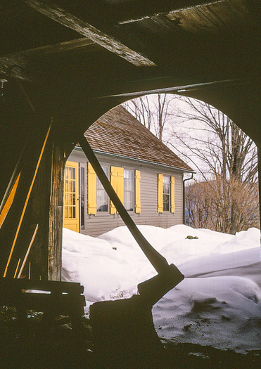 Winter Scene