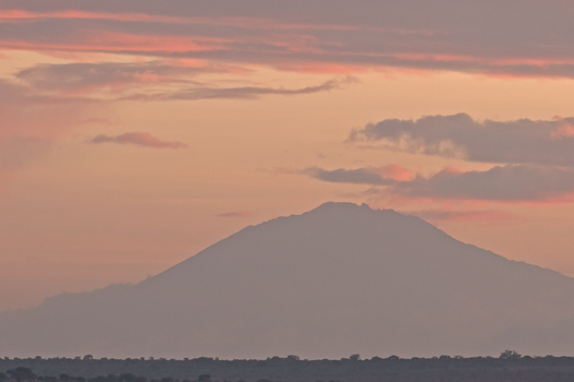 Tarangire Sunrise