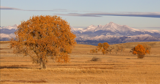 Rocky Mountain Arsenal