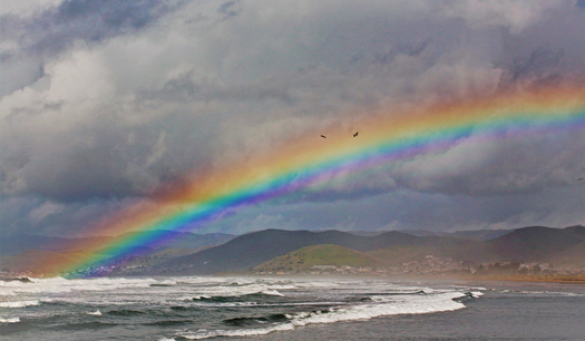Raibow