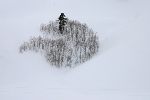 Crested Butte