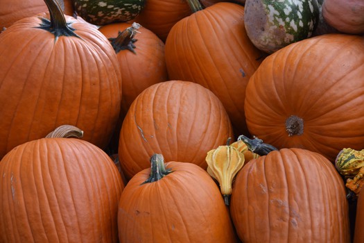 Punpkins