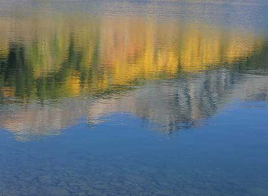 Aspen reflection