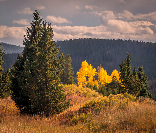 Mountain Scene