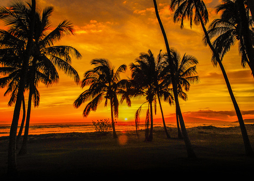 June Sunset