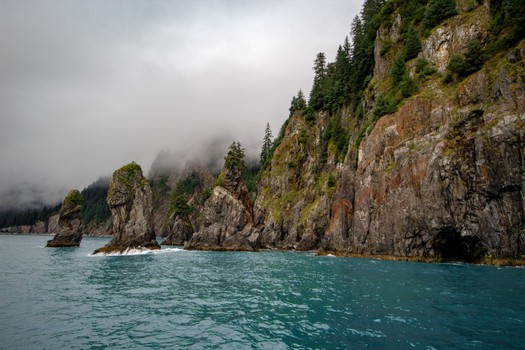Rocky Shoreline in Fog