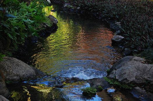 stream