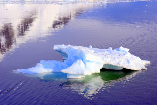 Floating chunk of hard-packed snow