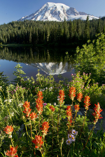 Mount Rainier Reflection Lake