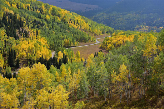 Road through Fall Foliage