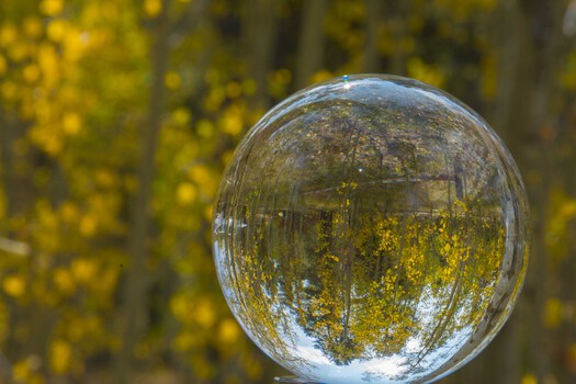 Fall Foliage in a Sphere
