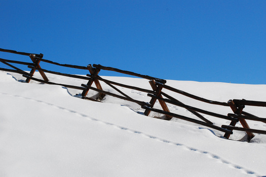 Tracks in snow