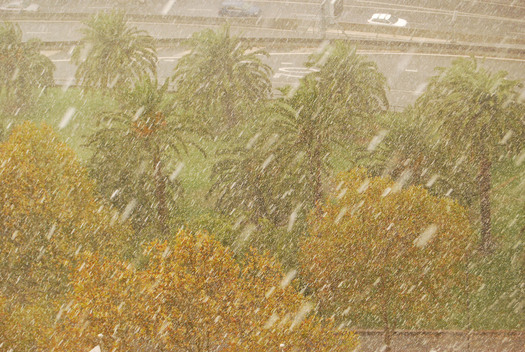 Rain on Palm trees and a highway
