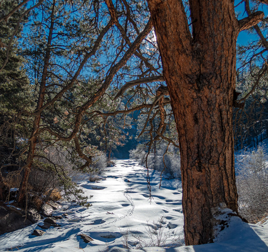 Winter scene with frozen river