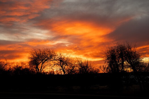Sunrise