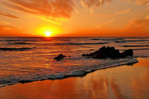 beach at sunset