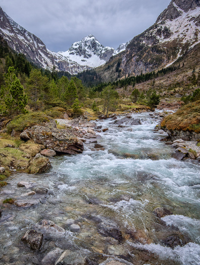 Swollen Mountain Stream