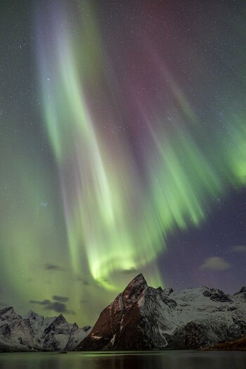 Aurora