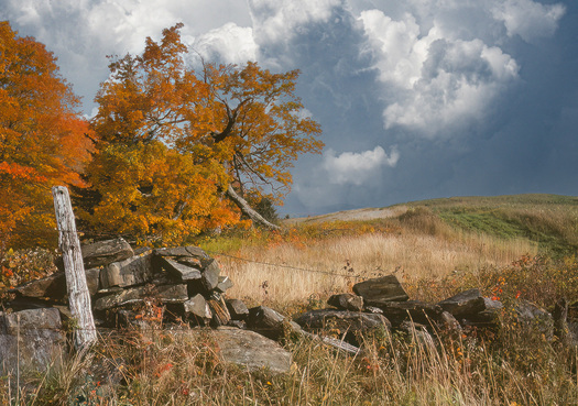Autumn Scene