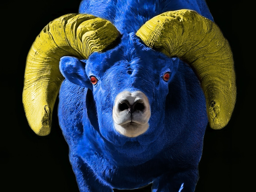 Bighor Ram with added colors