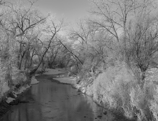 creek surrounded by frosty bushes and trees