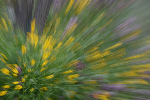 Abstract