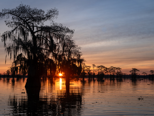 Sunrise over wetlands