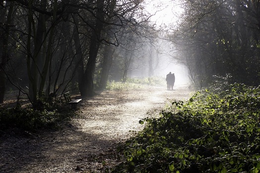 Two people walking down a trail in the fog