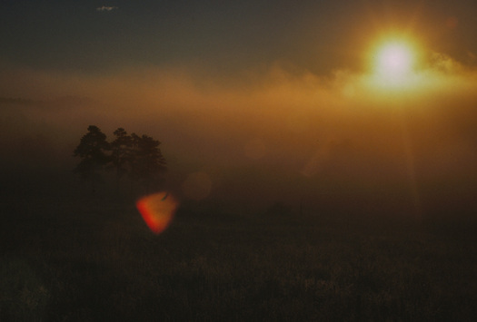 Sun shining through fog