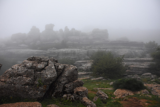 Foggy landscape with large rocks, bushes and water