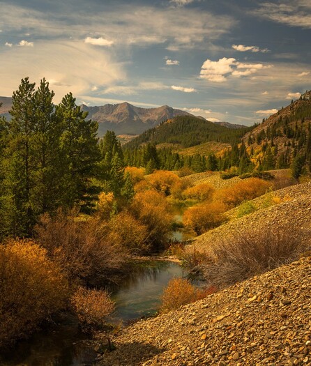 River flowing through falll foliage