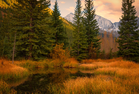 Autumn scene with mountains in the background