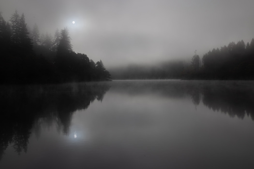 Misty scene of a lake with reflections of the sun trees on its shoreline.