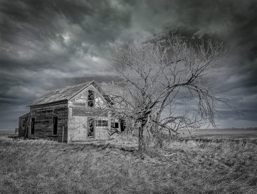 Deserted house and leafless tree in grassland