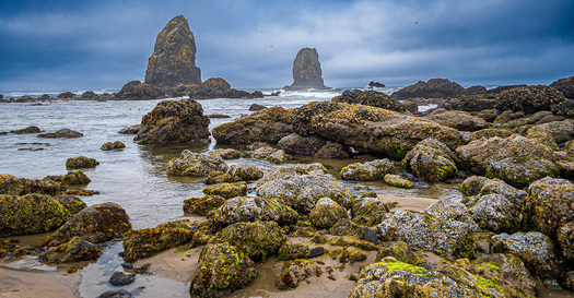 Rocky coast with large vertical rocks in background
