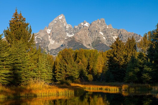 Edge of a lake with trees and mountains in background