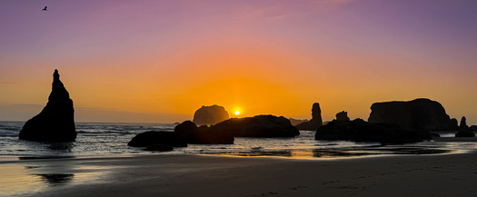 Shoreline Sunset